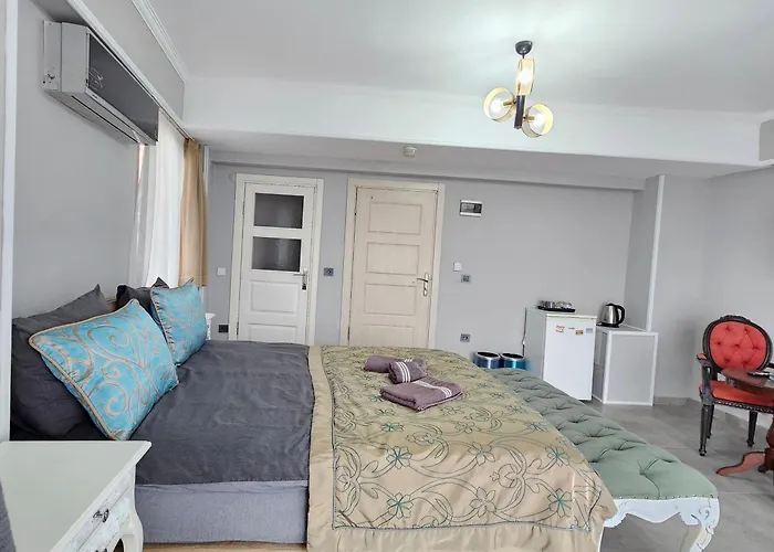 Bude Ortakoey 酒店 伊斯坦布尔