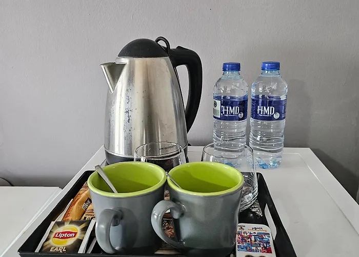 Bude Ortakoey 酒店 伊斯坦布尔